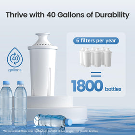 Aqua Crest CF06A filter in high-flow setup ensures steady pour