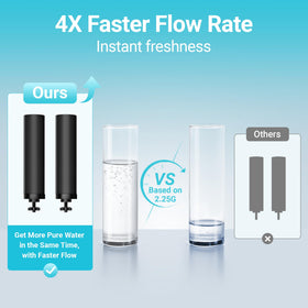 Aqua Crest replacement filter pack (2-pack) ready for Berkey setups.