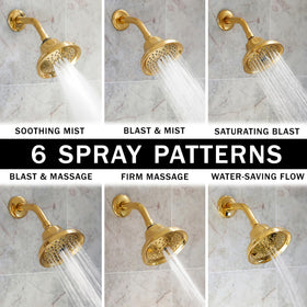 Aqua Elegante 6-pattern spray offers versatile options for every shower need.