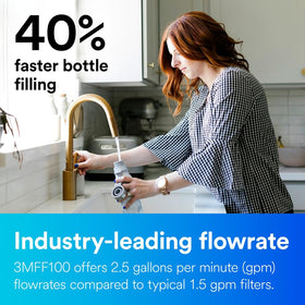 Aqua-Pure FF101 under-sink system installation showing full-flow water delivery