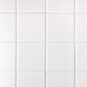 Bathroom shower tile with AQUA-X grout sealer protecting the grout.