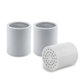 AquaBliss SFC100 high-output filter reduces chlorine for refreshed skin.