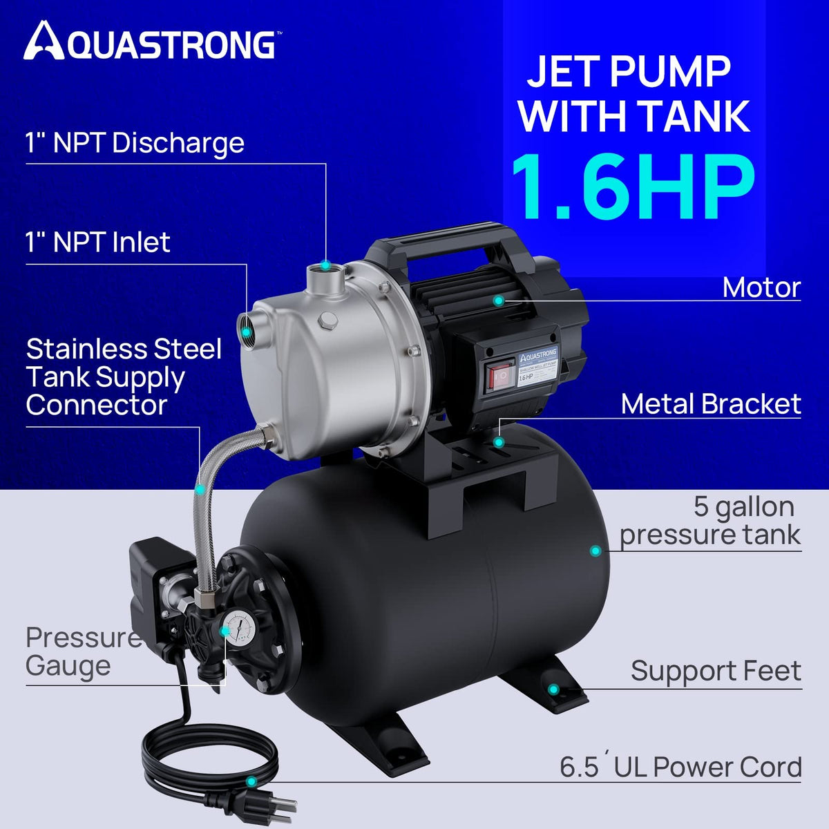 AquaStrong 115V shallow well pump with stainless steel housing close-up.
