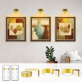 Arixinks battery picture light gold front view for art highlights