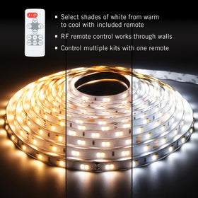 Dimmable Ribbon Flex illuminated with remote for precise brightness