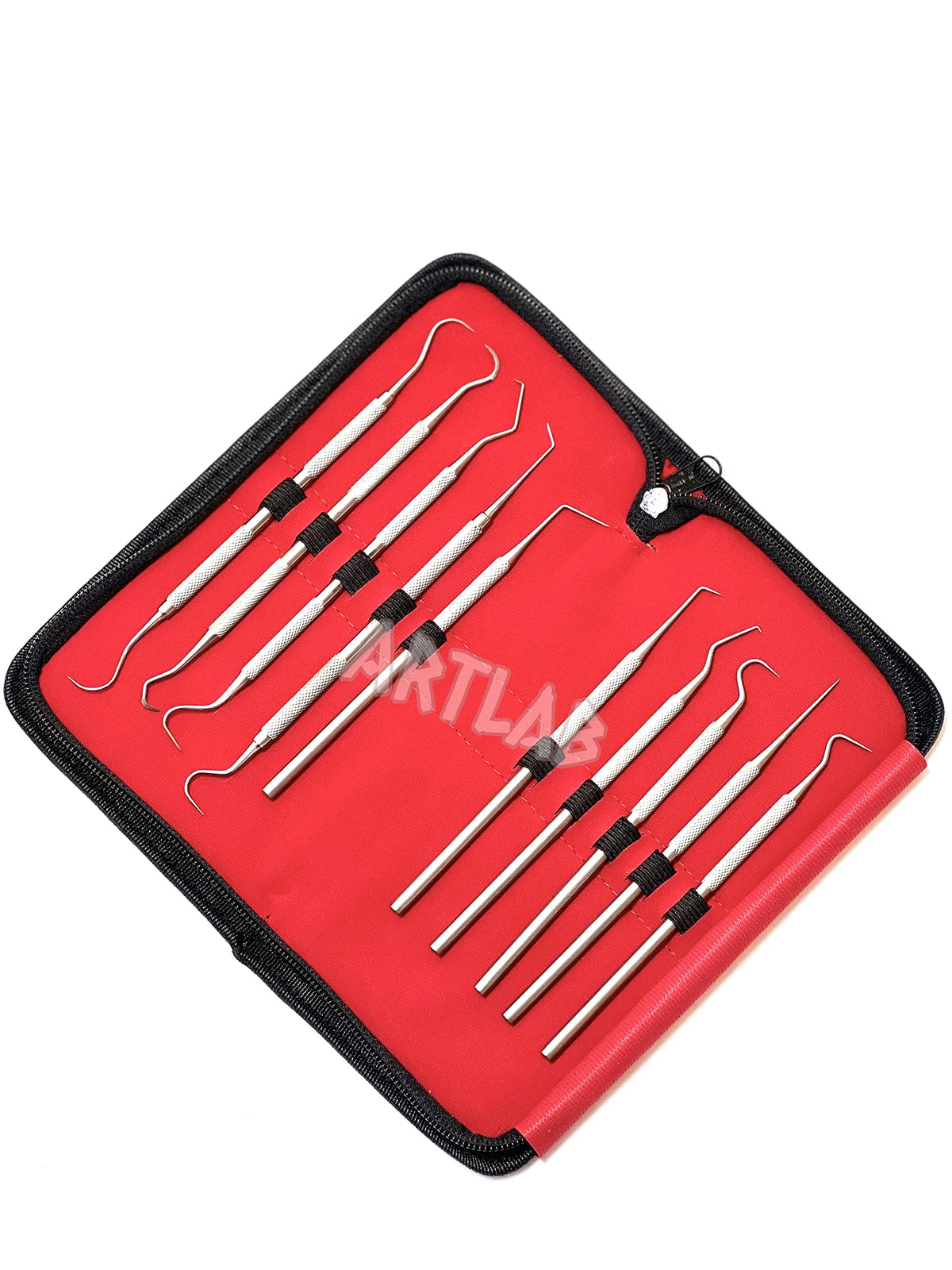 Artlab Premium Probe Set in compact case for easy storage.