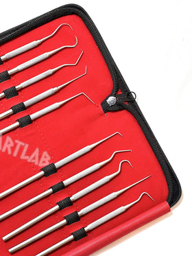 Artlab Premium Probe Set short double tips for versatile precision tasks.