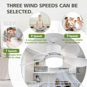 ASALL socket fan light offering warm natural and cold lighting options