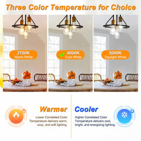 Ascher 4000K cool white LED bulb offers crisp brightness for modern spaces