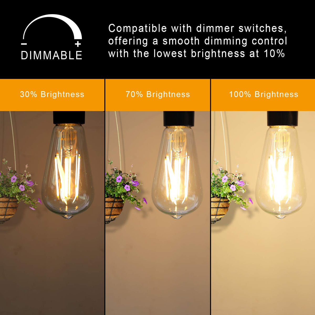 Ascher 60W-equivalent 6W LED bulb delivering bright 700 lumens in a vintage look.