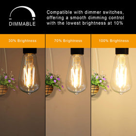Ascher 60W-equivalent 6W LED bulb delivering bright 700 lumens in a vintage look.