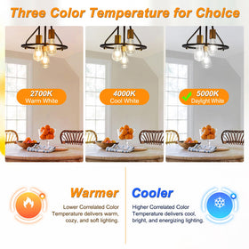 Ascher 80+ CRI color rendering for vibrant, true colors