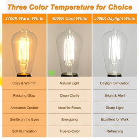 Ascher bulbs fit standard E26 bases for easy replacement.