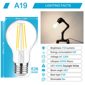 Ascher daylight 4000K LED bulb for bright task lighting.