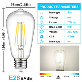 Close-up of Ascher LED Edison bulb with 700-lumen brightness detail