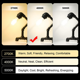 Ascher pack of four vintage LED bulbs ensures consistent, high-quality lighting.