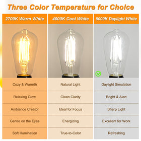 Ascher pack of 12 ensures consistent lighting across rooms