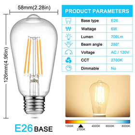 Ascher Edison bulb emits 700 lumens for bright, inviting light