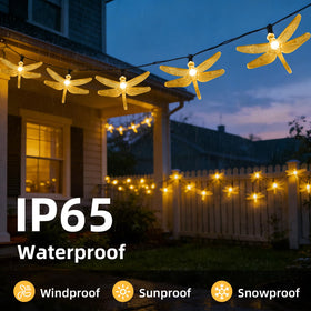 ASFSKY Dragonfly Solar Lights decorate walls and windows with enchanting illumination.