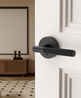 Asidrama privacy door handle lock button close-up highlights privacy control