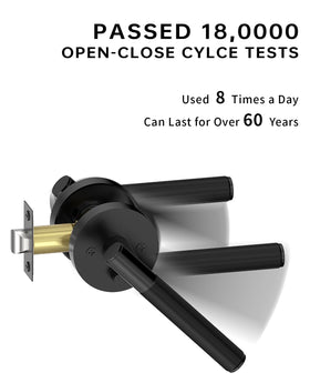 Asidrama reversible lever for left or right doors