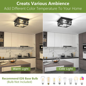 Asnxcju black flush mount with clear shade, ideal for bright porch lighting.