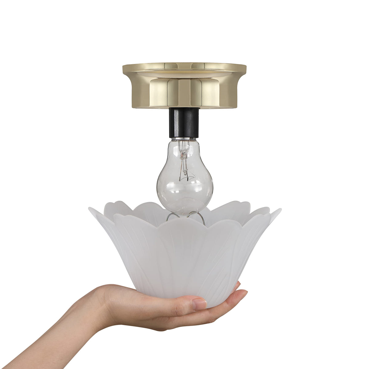 Two-pack tulip shades for coordinating lighting in multiple rooms