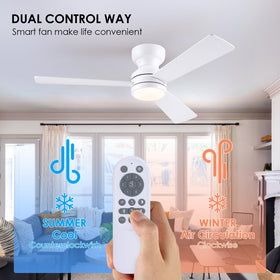 Asyko light color-temp options enhance warmth or clarity for any room.