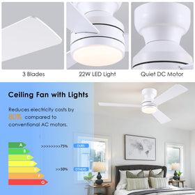 Asyko ceiling fan with reversible motor helps seasonal comfort and air circulation.