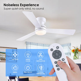 Asyko 3-blade design emphasizes quiet operation and modern styling.