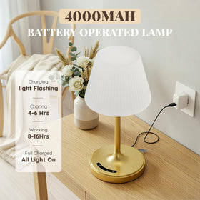Audles sealed lampshade lamp in gold for durable wet-space use