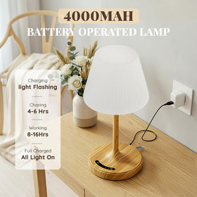 Audles shower lamp memory function returns to last brightness