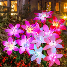 Aukora solar garden lights with red lily bloom illuminate pathways with wire-free setup.