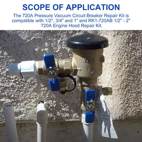 Aulpq poppet valves and springs close-up for reliable valve operation