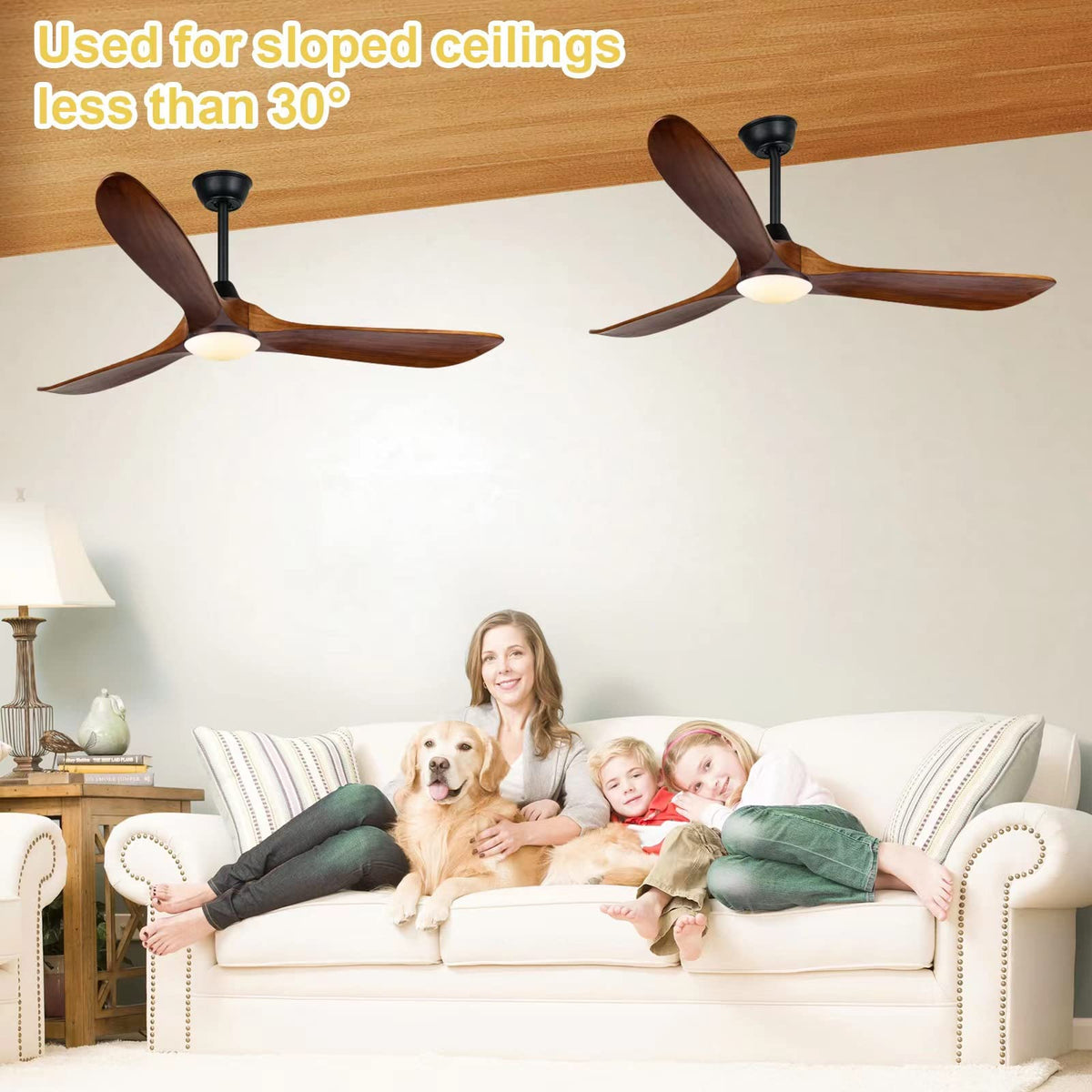AUNLPB whisper-quiet motor delivers strong airflow with minimal noise.