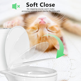 Aunsffer toilet seat with quiet hinge for peaceful mornings.
