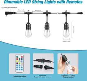 Auroraworld end-to-end connections enable scalable outdoor lighting setups.