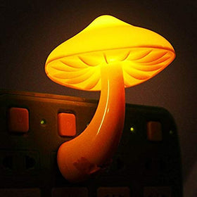 AUSAYE two-pack night lights offer convenience for shared spaces.
