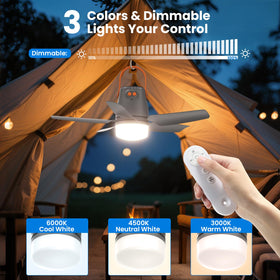 Ausic remote control with silent button for nighttime adjustments