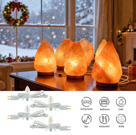 Austin Coast clip-on decorations with safe plastic grip for delicate models.