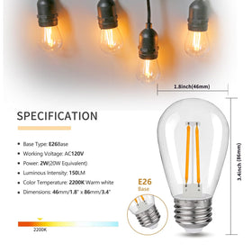 Austin Coast S14 shatterproof bulb designed for safe outdoor use.