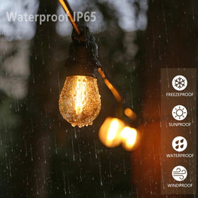 Austin Coast S14 waterproof bulb fit for indoor and outdoor spaces.