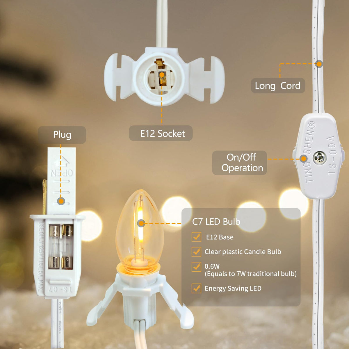 Austin Coast warm glow creates cozy vintage ambience for displays.