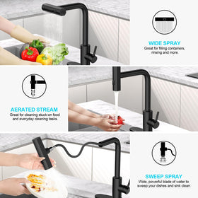 AVSIILE faucet with pull-down sprayer in matte black for rinsing and filling