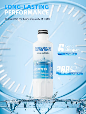 Close-up of coconut shell carbon in AVXBYR LT1000P filter highlighting filtration material.
