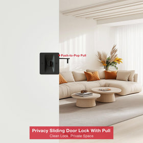 AWDIA privacy pocket door hardware 2-pack for easy updating.
