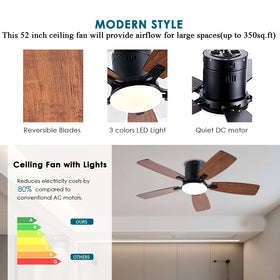 Ayaoty living room ambience with a quiet ceiling fan