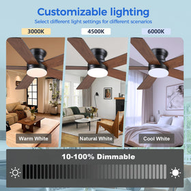 Ayaoty low profile installation highlighting ceiling clearance and neat lines