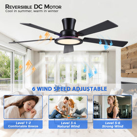 Ayaoty ceiling fan offers six speeds for gentle breeze to strong cooling.