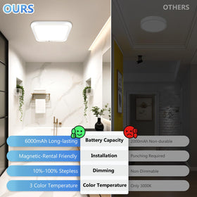 Bairth light shows warm, natural, and cool white options for versatile tasks